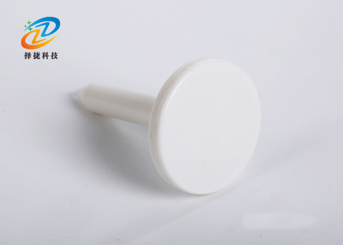 釘子電子標(biāo)簽ZJ-DZ011實(shí)拍展示圖二